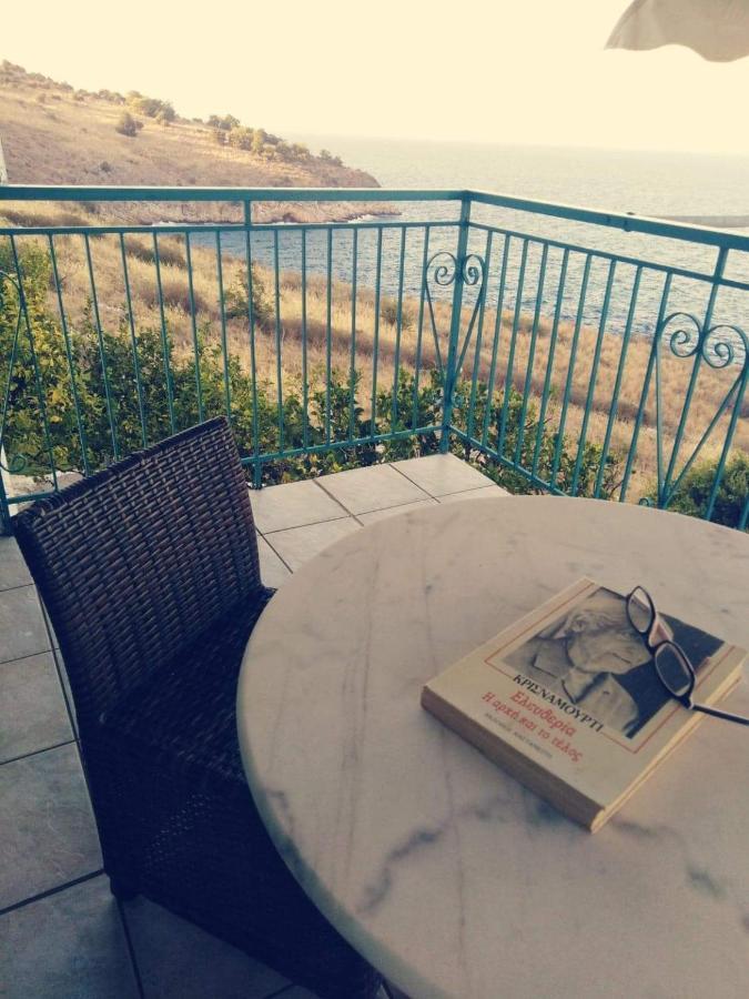 Villa Castle Sea View Parálion Ástros Kültér fotó