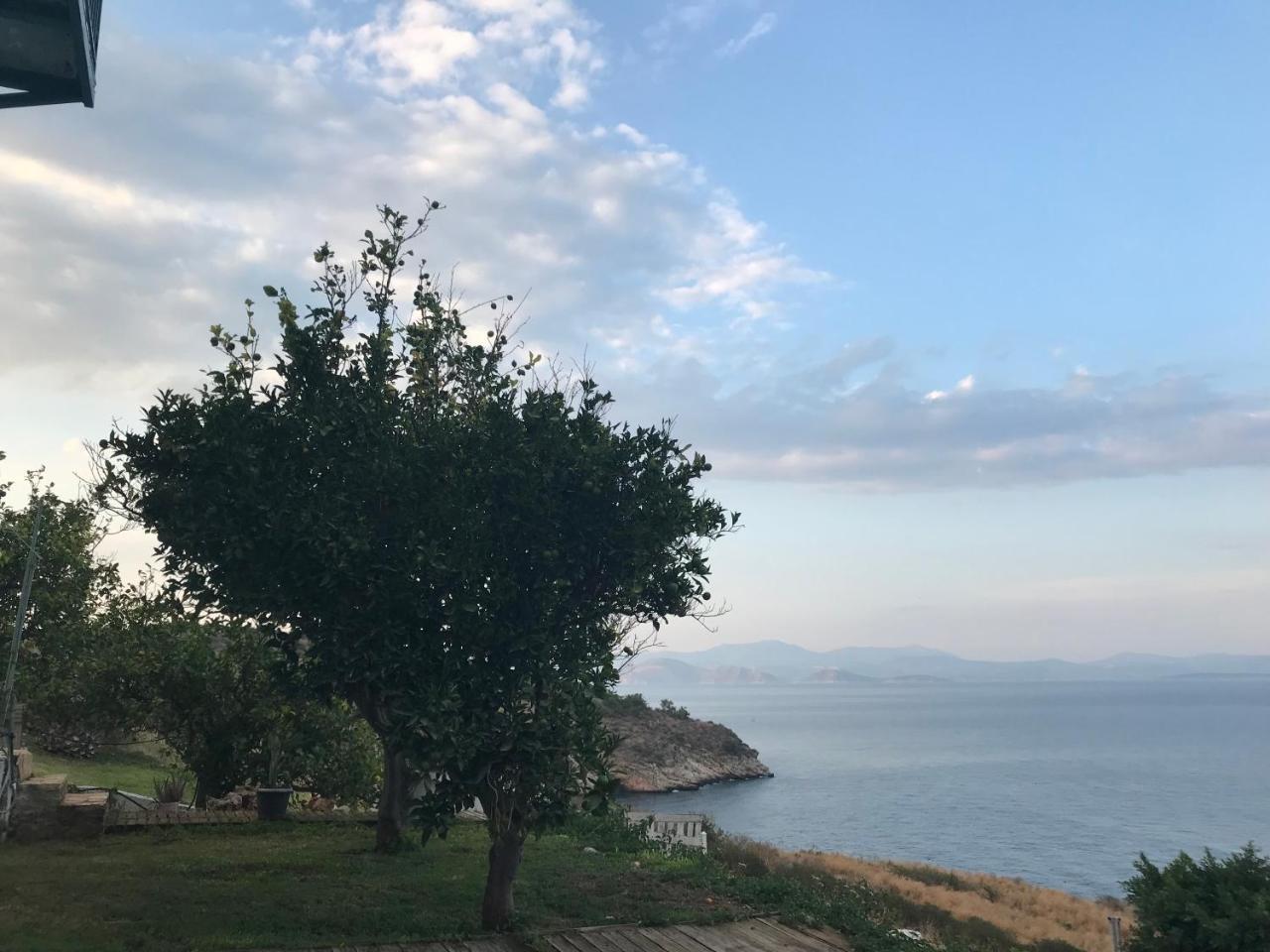 Villa Castle Sea View Parálion Ástros Kültér fotó
